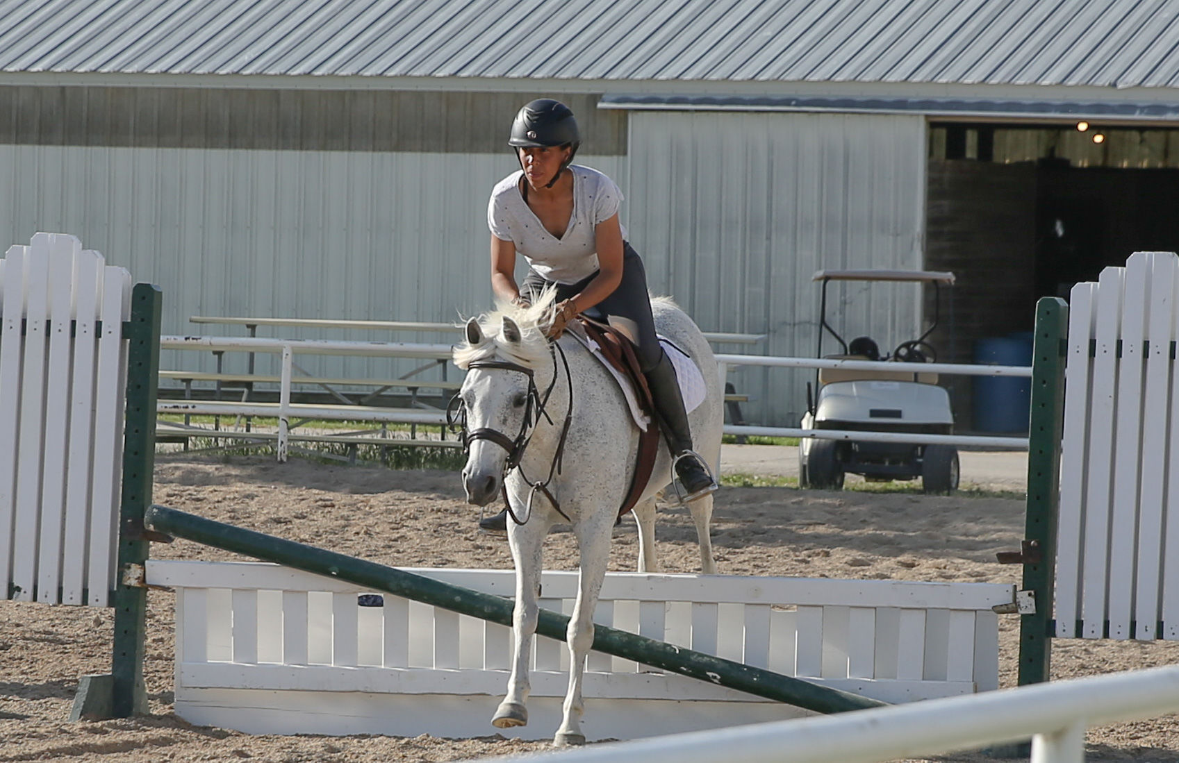 North Iowa Events Center - horses